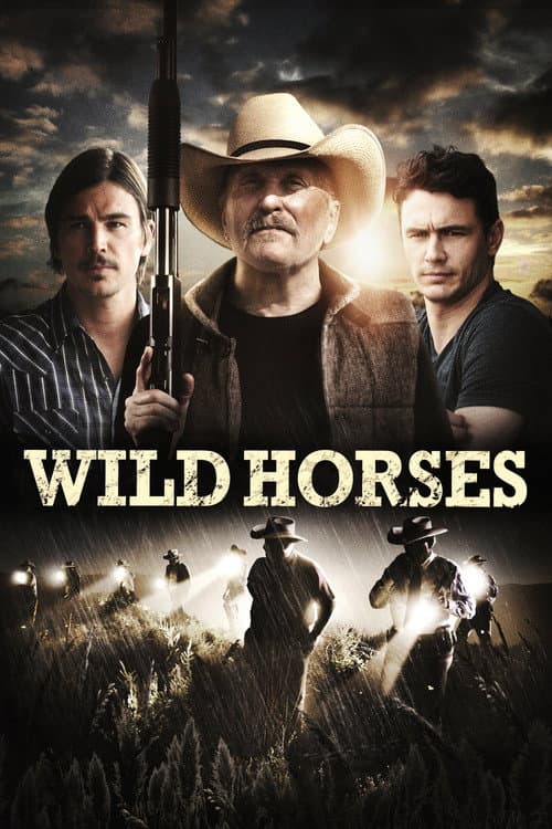 Wild Horses — poster