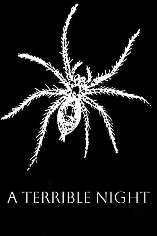 A Terrible Night — poster