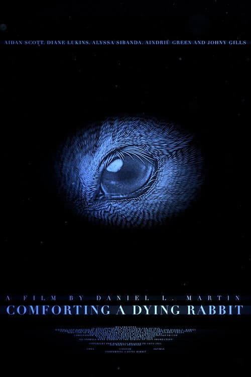 Comforting A Dying Rabbit — poster