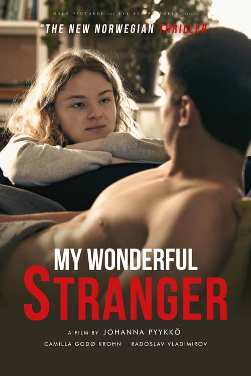 My Wonderful Stranger — poster