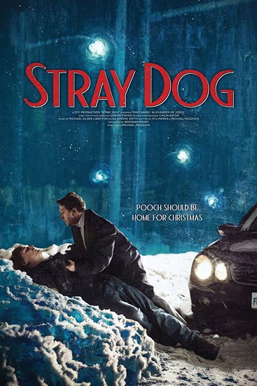 Stray Dog — poster