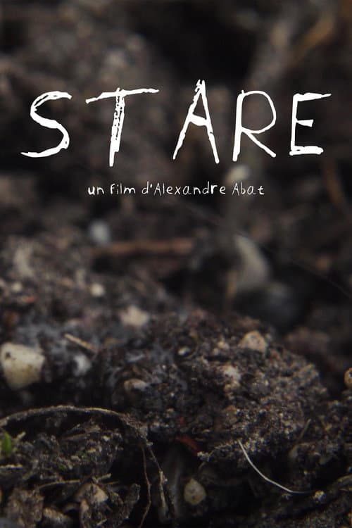 Stare — poster