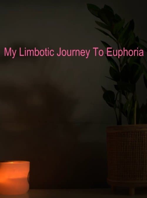My Limbotic Journey To Euphoria — poster