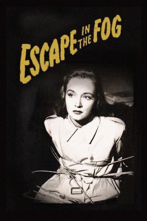 Escape in the Fog — poster