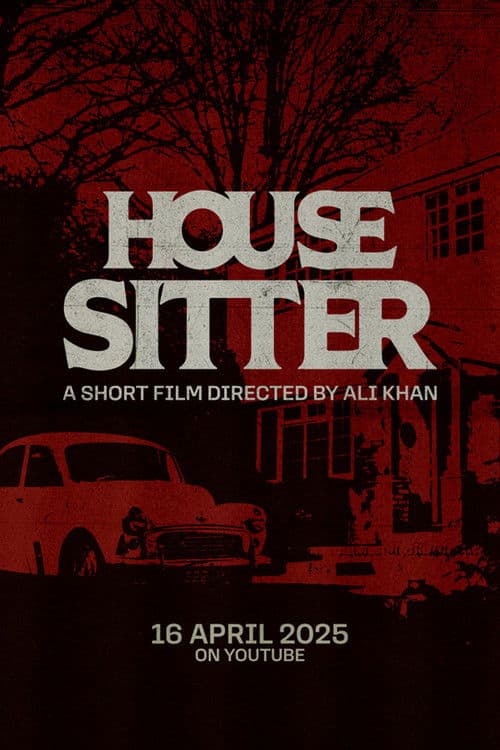 House Sitter — poster