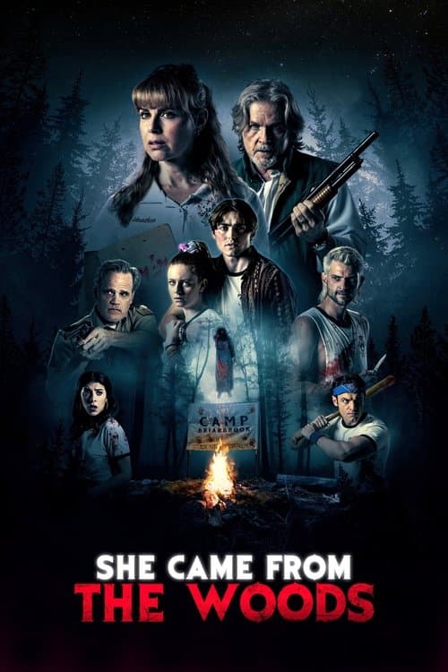 She Came from the Woods — poster