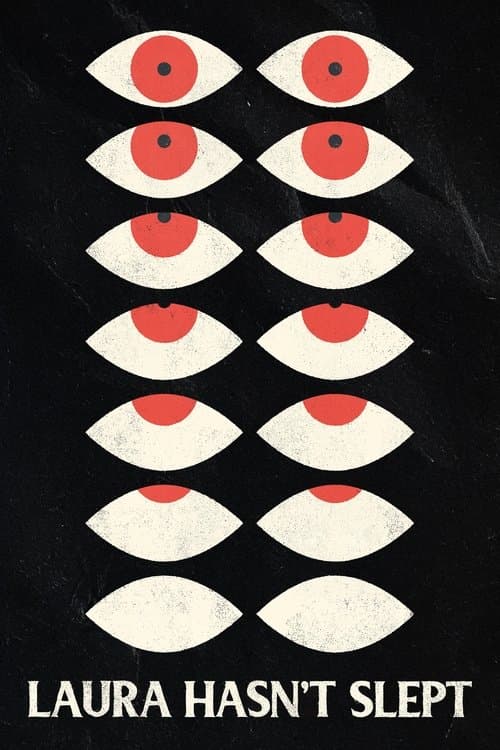 Laura Hasn't Slept — poster