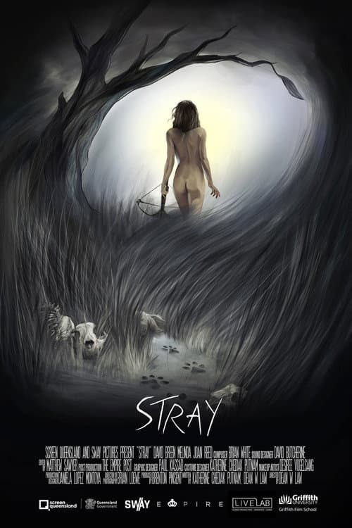 Stray — poster