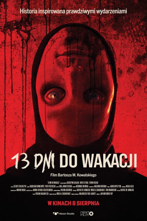 13 Days Till Summer — poster