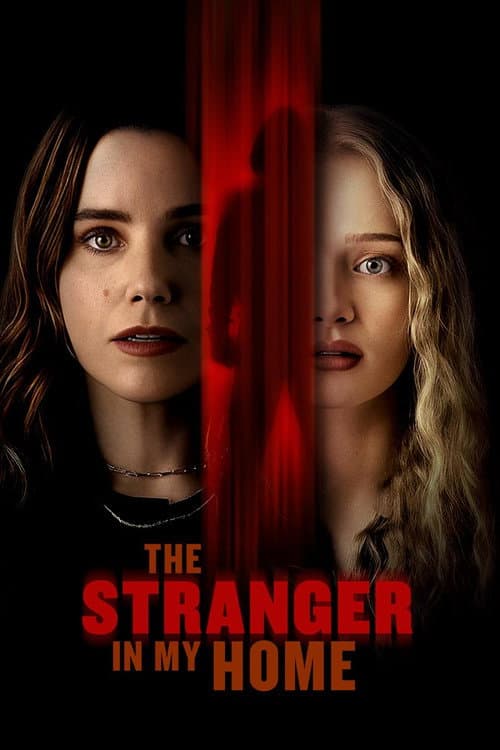 The Stranger in My Home — poster