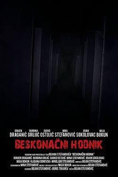 Endless Corridor — poster