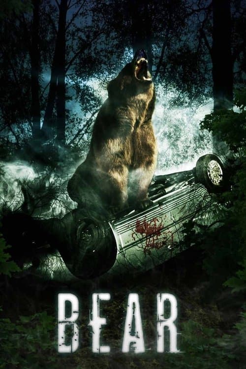 Bear — poster