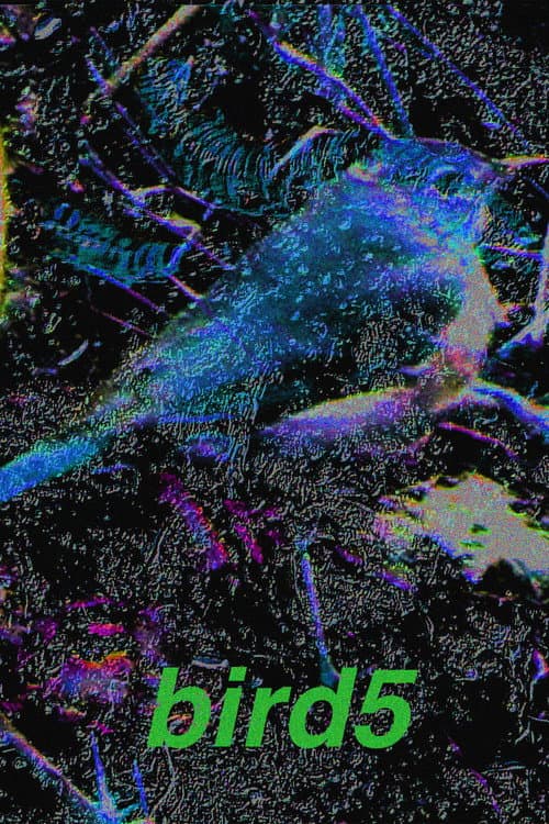 bird5.mp4 — poster