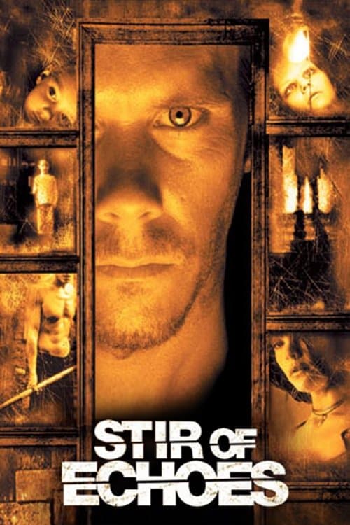 Stir of Echoes — poster