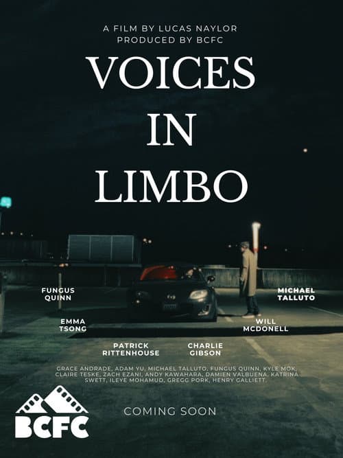 Voices In Limbo — poster