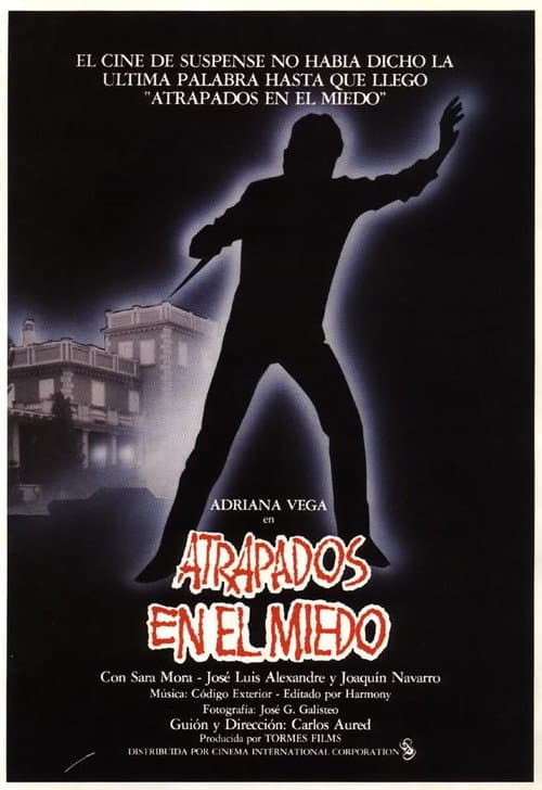 Caught in Fear — poster