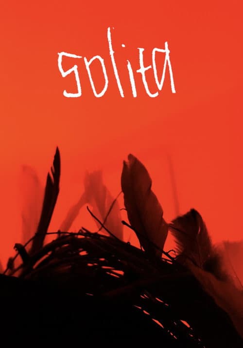 Solita — poster