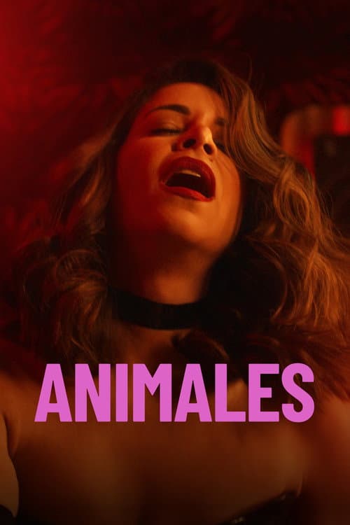 Animals — poster
