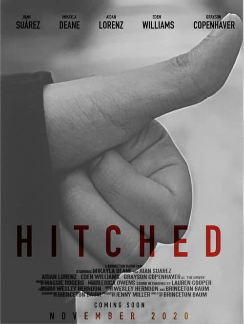Hitched — poster