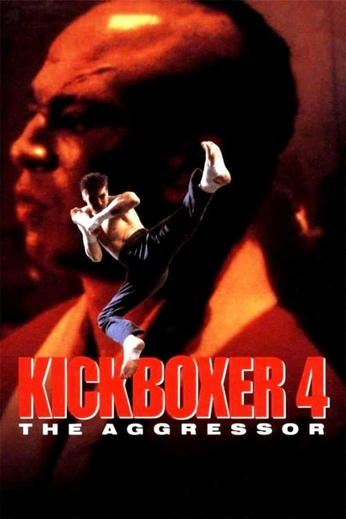 Kickboxer 4: The Aggressor — poster