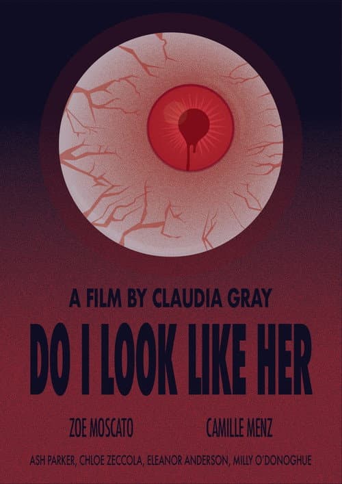 Do I Look Like Her? — poster