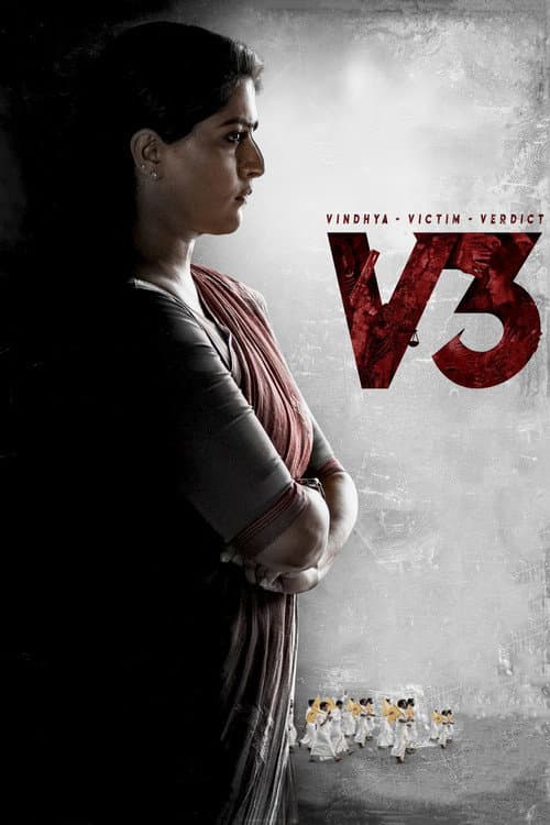 V3 — poster