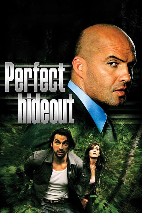 Perfect Hideout — poster