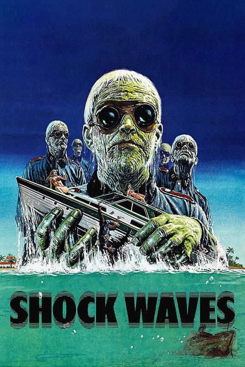 Shock Waves — poster