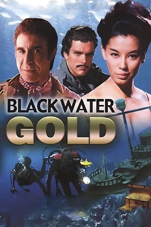 Black Water Gold — poster