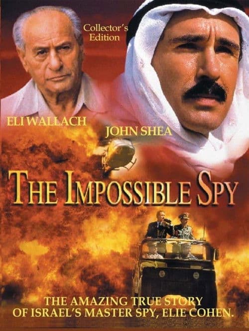 The Impossible Spy — poster