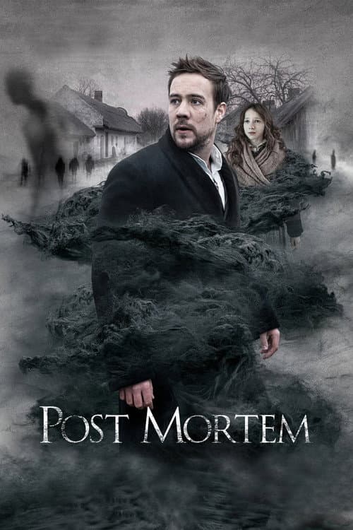 Poster for Post Mortem