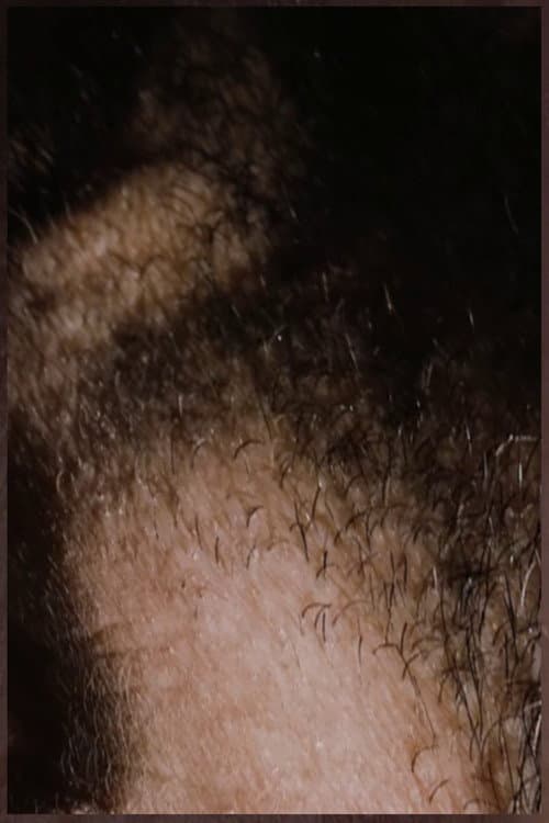 BOILK — poster