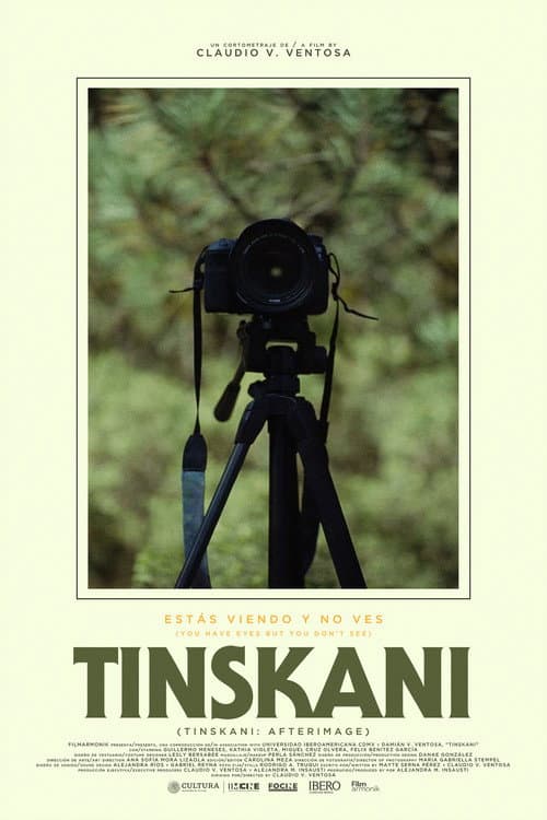 Tinskani: Afterimage — poster