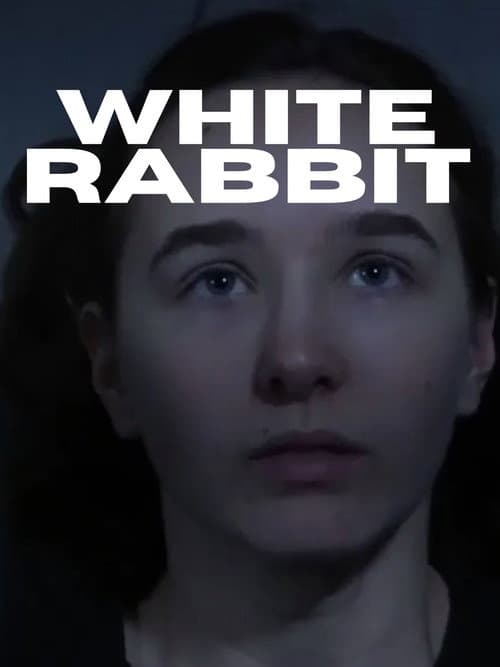 White Rabbit — poster