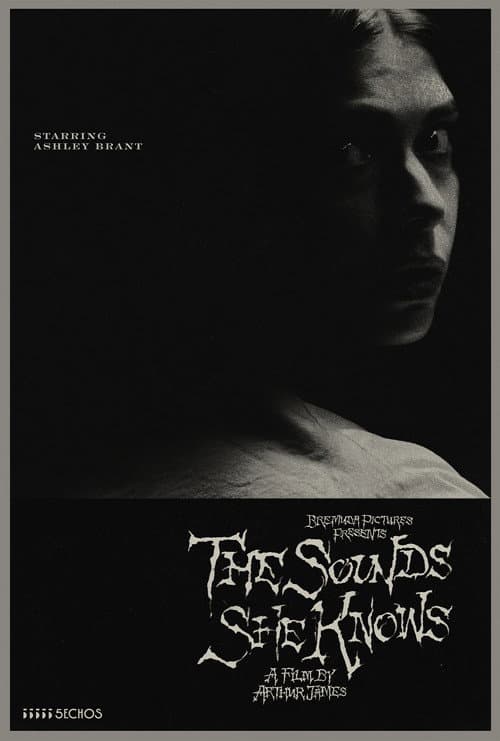The Sounds She Knows — poster