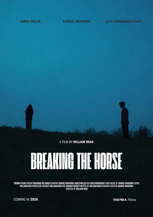 Breaking the Horse — poster