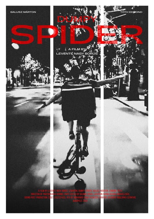 Dumpy Spider — poster
