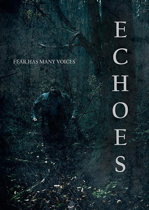 Echoes — poster
