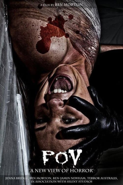 P.O.V: Point of View — poster