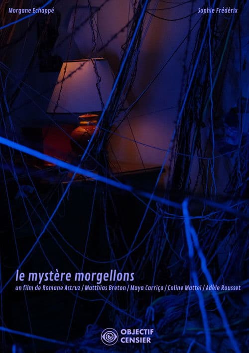 The Mystery of Morgellons — poster