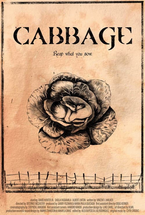 Cabbage — poster