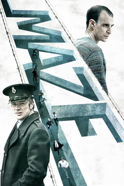 Maze — poster
