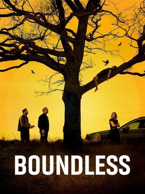Boundless — poster