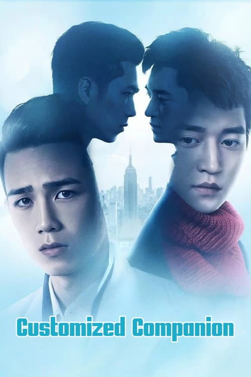 Customized Companion — poster