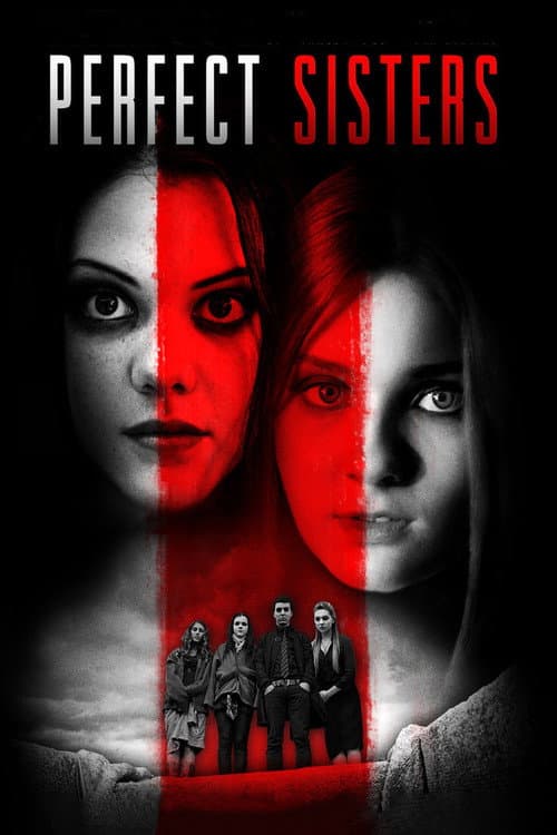 Perfect Sisters — poster