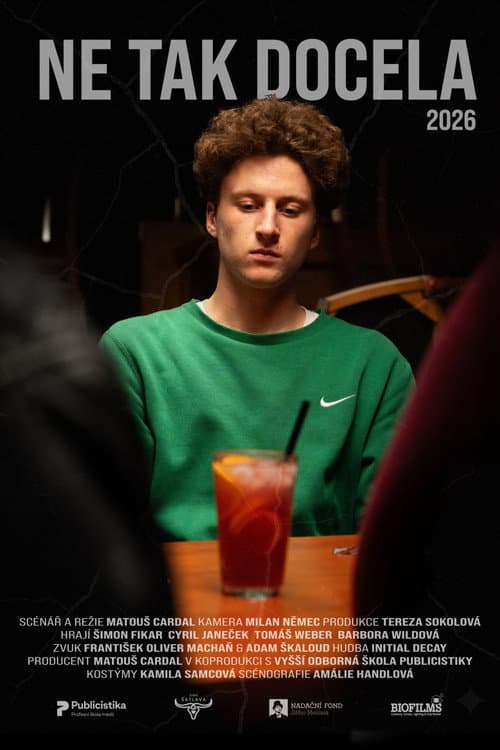 Not Exactly — poster