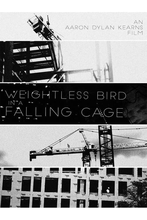 Weightless Bird In A Falling Cage — poster