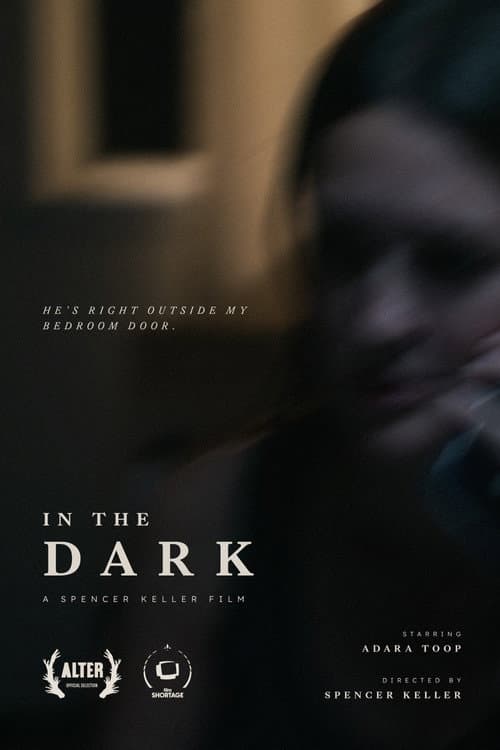 In the Dark — poster