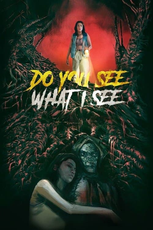 Do You See What I See — poster