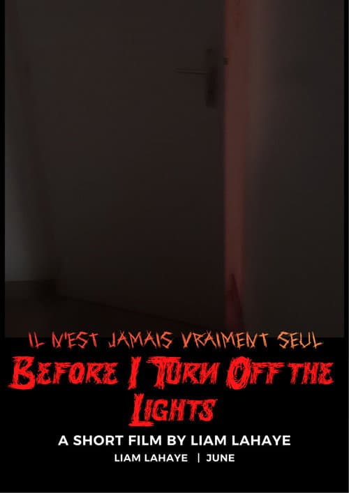 Before I Turn Off the Lights — poster